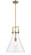 Newton Cone - 1 Light - 14 inch - Brushed Brass - Multi Pendant (3442|411-1SL-BB-G411-14CL)