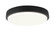 Zane Flush Mounts (3605|M16112MB)