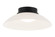 Luna Flush Mounts (3605|M16401MBFR)
