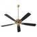 Ovation 60'' 5BL Fan - AGB (83|4605-80)