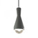 Erlen 1-Light Pendant (254|CER-6520-PWGN-CROM-BKCD)