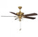52'' 2-Light Outdoor Ceiling Fan in Natural Brass (8483|M2026NBRV)