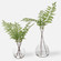 Uttermost Country Ferns Set/2 (85|60202)