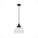 Hunter Cypress Grove Natural Black Iron with Clear Holophane Glass 1 Light Pendant Ceiling Light Fix (4797|19249)