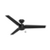 Hunter 52 inch Cassius Matte Black Damp Rated Ceiling Fan and Pull Chain (4797|59264)