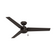 Hunter 52 inch Cassius Premier Bronze Damp Rated Ceiling Fan and Pull Chain (4797|59261)