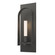 Triomphe 1-Light Sconce (65|201070-SKT-20-20-FD0462)