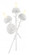 North Fork by Robin Baron - 3 Light Wall Sconce (10|5903-655)