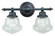 Huntley 2L Vanity Clear Glass Oil Rubbed Bronze (51|W0189)