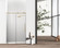Frameless shower door 48 x 76 Brushed Gold (758|SD101-4876BGD)