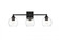 Foster 3 light Black and Clear Bath Sconce (758|LD7308W25BLK)