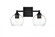 Foster 2 light Black and Clear Bath Sconce (758|LD7308W16BLK)