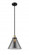 Cone - 1 Light - 12 inch - Black Antique Brass - Stem hung - Mini Pendant (3442|616-1SH-BAB-G43-L)