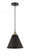 Berkshire - 1 Light - 12 inch - Black Antique Brass - Cord hung - Mini Pendant (3442|616-1P-BAB-MBC-12-BK)