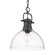 1 Light Pendant (36|3602-L BLK-CLR)