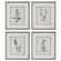Uttermost Heirloom Blooms Study Framed Prints Set/4 (85|32285)