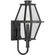 Bradshaw Collection One-Light Textured Black Clear Glass Transitional Small Outdoor Wall Lantern (149|P560347-031)