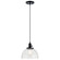 Mini Pendant 1 Lt (10687|43853BK)