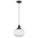 Mini Pendant 1 Lt (10687|43852BK)