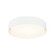 Ezra Flush Mounts (3605|M16616WH)