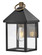 Small Wall Mount (1118101|81520BK)