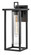 Medium Wall Mount (1118101|81424BK)