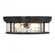 Ashton 4-Light Ceiling Light in Matte Black (641|V6-L6-4906-4-89)