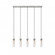 5 Light Linear Chandelier (276|740P-5L-BN)