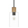 Hunter Vanning Noble Bronze and Natural Sisal Rope with Clear Glass 1 Light Pendant Ceiling Light (4797|13110)