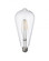 7 Watt High Lumen LED Vintage Light Bulb (3442|BB-95HL-LED)
