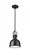 1 Light Pendant (276|725MP-MB)