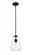 1 Light Pendant (276|488P8-MB)