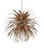 Abyssinia Chandelier (92|9000-1138)