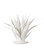 Agave White Objet (92|1200-0778)
