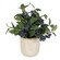 Uttermost Blueberry Fields Accent (85|60215)