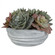 Uttermost Peoria Succulent Accent (85|60212)