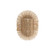 Alexia Sconce (314|DWS04)