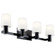 Vanity 4Lt (10687|55177BK)