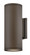 Large Up/Down Light Wall Sconce (87|13595AZ-LL)