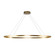 Ovale 53-in Brushed Gold Dimmable LED Linear Pendant (461|LP79153-BG)
