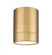 1 Light Flush Mount (276|1006F6-MGLD-LED)