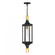 Glendale 1-Light Outdoor Hanging Lantern in Matte Black and Weathered Brushed Brass (128|5-277-144)