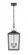 Outdoor Hanging Lantern (670|42655-PBK)