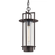 Carroll Park Exterior Lantern (52|F6817-TBZ)