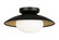 HATLEY Flush Mounts (3605|M13111BKOP)