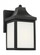 Saybrook One Light Extra Small Lantern (38|GLO1001TXB)