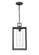 Outdoor Hanging Lantern (670|93141-TBK)