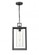 Ellway 1-Light Outdoor Hanging Lantern Textured Black (670|93141-TBK)