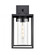 Ellway 1-Light Outdoor Wall Sconce Textured Black (670|93121-TBK)