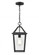 Outdoor Hanging Lantern (670|91401-TBK)